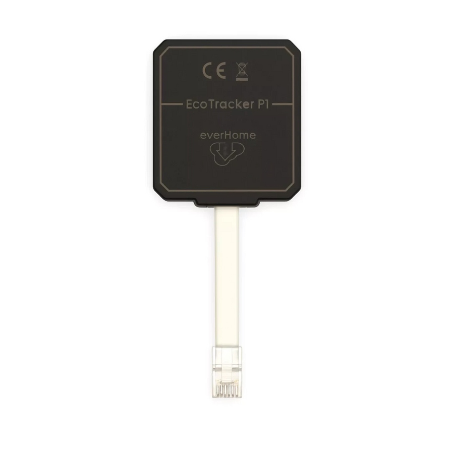 Everhome Ecotracker P1
